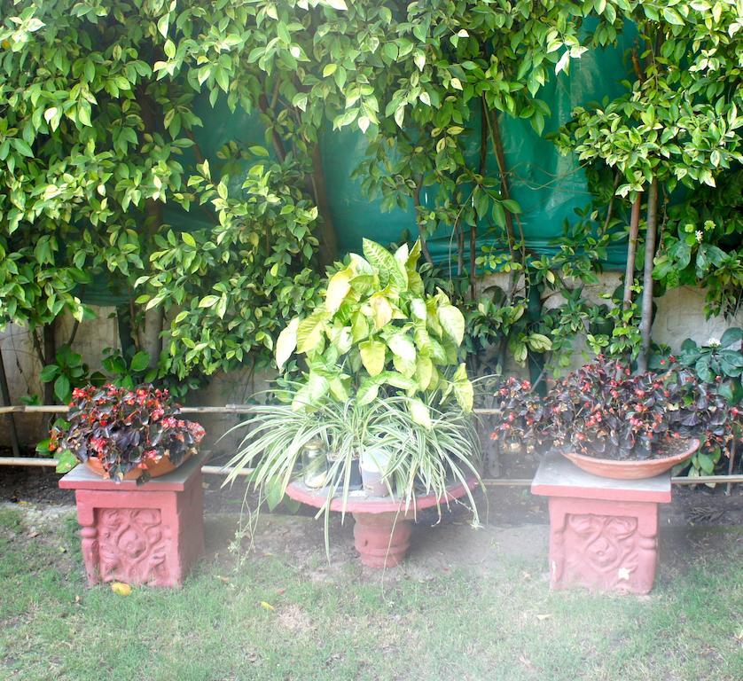 Sirohi House New Delhi Bagian luar foto
