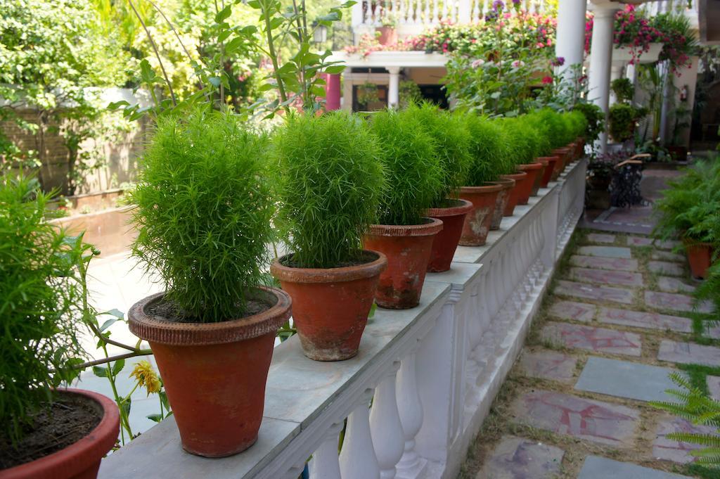 Sirohi House New Delhi Bagian luar foto