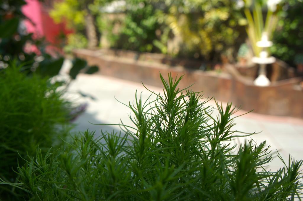 Sirohi House New Delhi Bagian luar foto